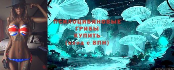 ALPHA PVP Покачи
