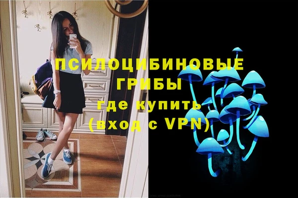 сатива Покров