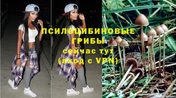 mdpv Покровск